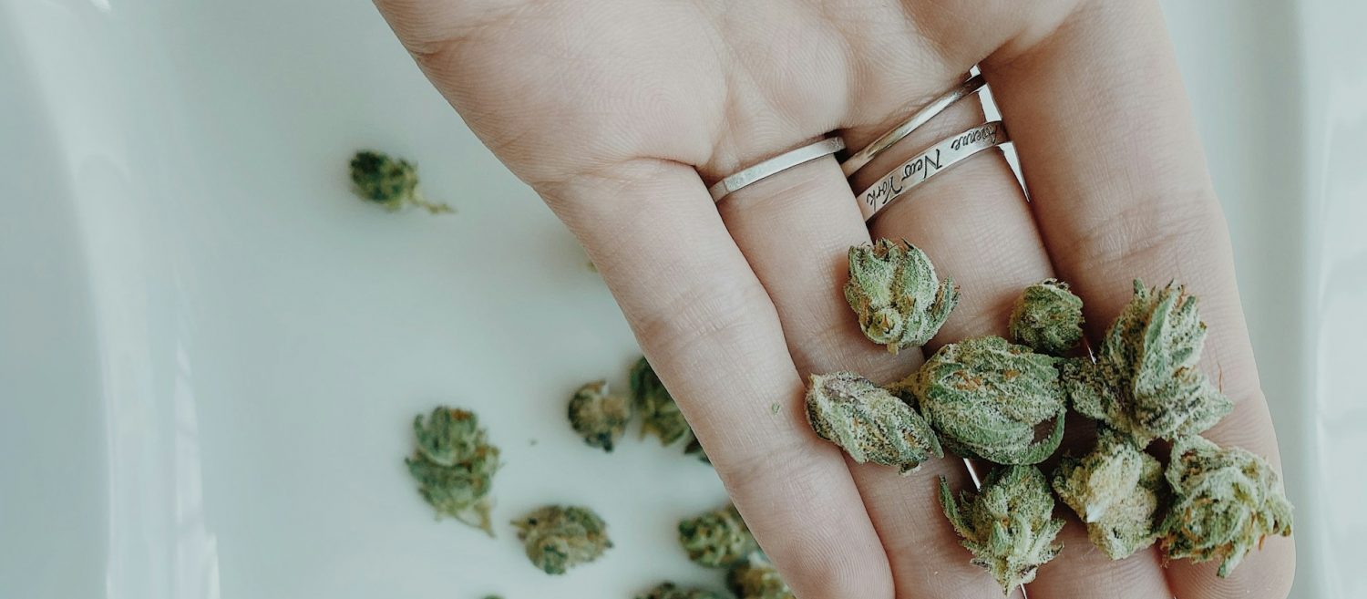 Cannabis Products and Hemp Store in Prague