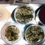 img-12.jpg
