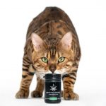 Official Delivery Service for High-Quality Cannabis in Prague img-2676.jpg
